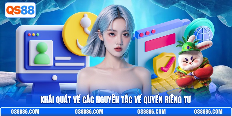 Khái quát về các nguyên tắc về quyền riêng tư