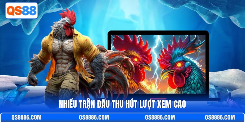 Nhiều trận đấu thu hút lượt xem cao